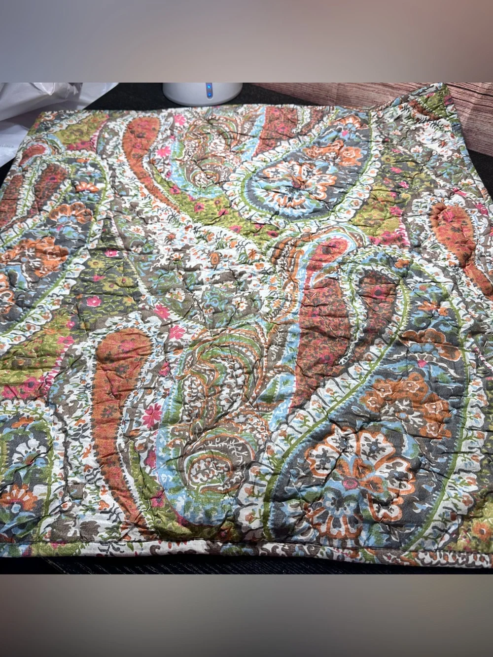 Pottery Barn Zia paisley ikat quilted Euro pillow cover Sham NWOT